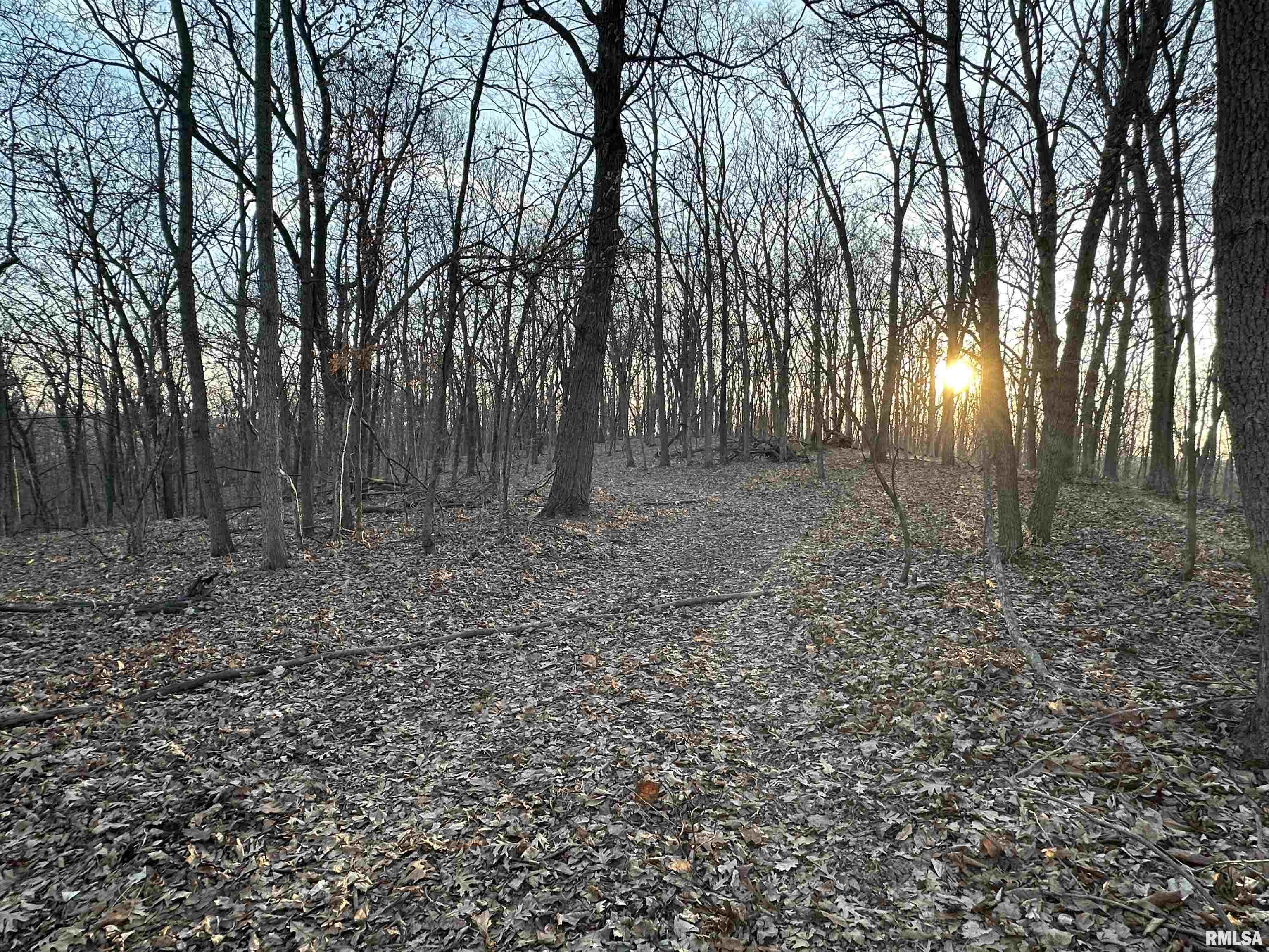 North Tarters Ferry Lane Smithfield, IL 61477 - Photo 11 of 38