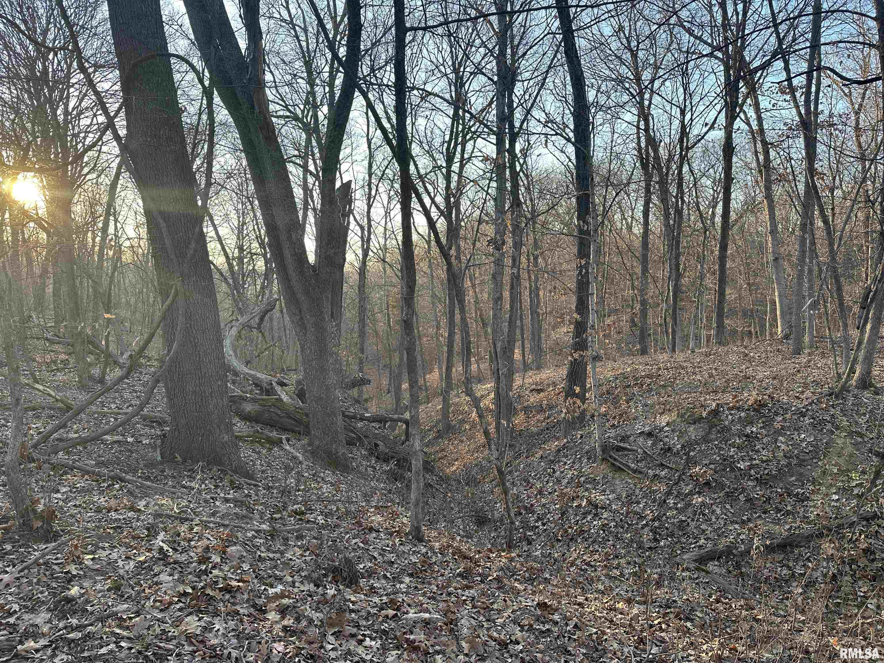 North Tarters Ferry Lane Smithfield, IL 61477 - Photo 12 of 38