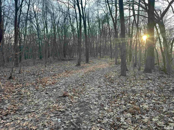 $285,000 | North Tarters Ferry Lane, Smithfield, IL 61477