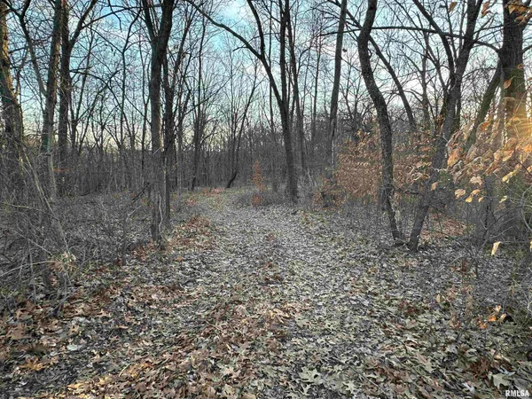 $285,000 | North Tarters Ferry Lane, Smithfield, IL 61477