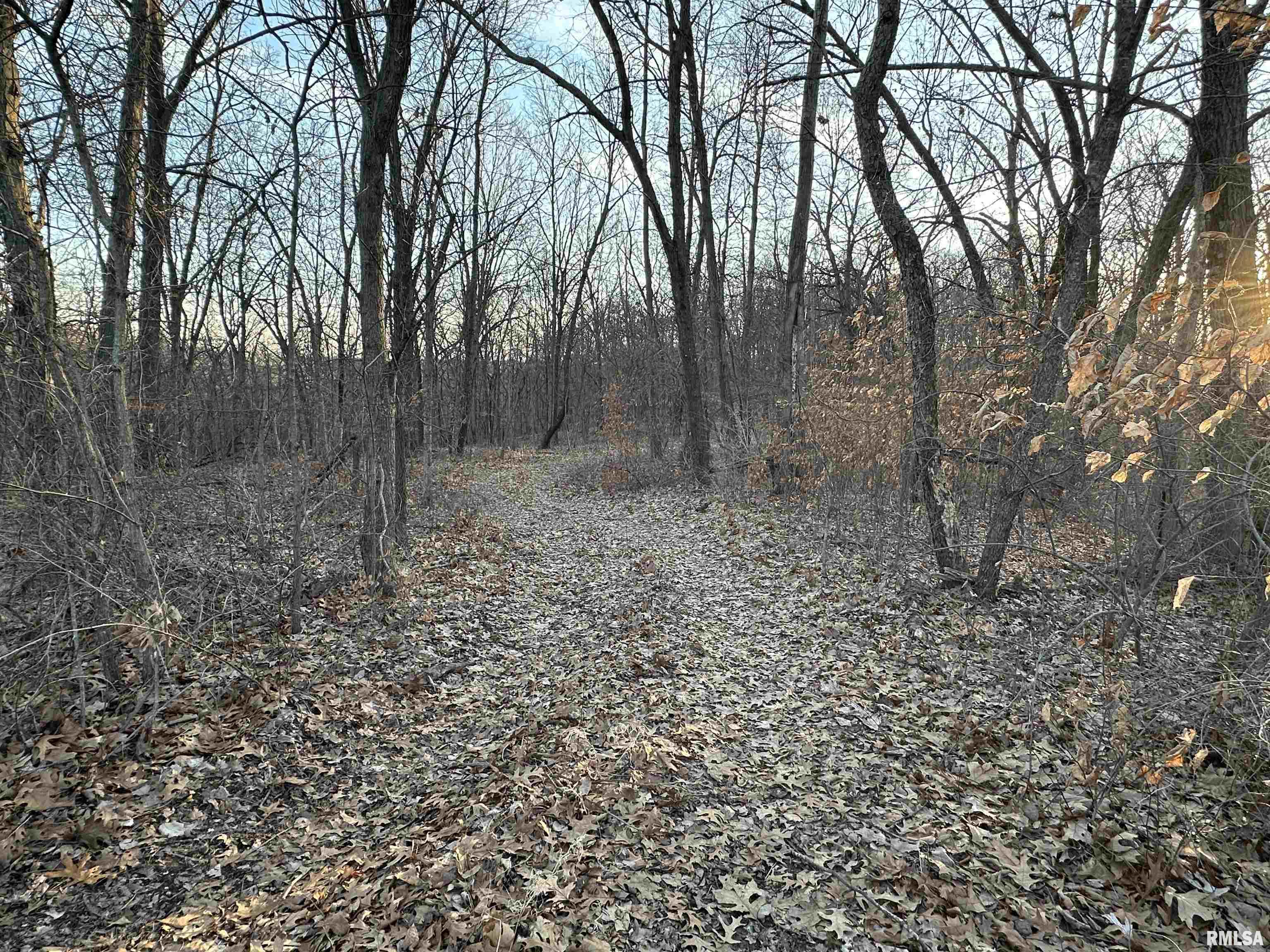 North Tarters Ferry Lane Smithfield, IL 61477 - Photo 15 of 38