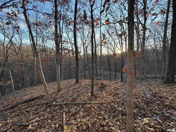 $285,000 | North Tarters Ferry Lane, Smithfield, IL 61477