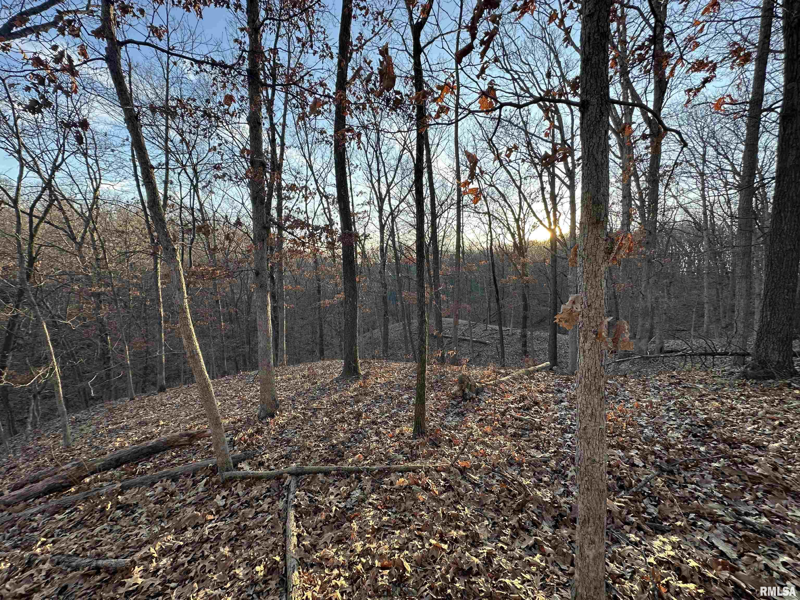 North Tarters Ferry Lane Smithfield, IL 61477 - Photo 17 of 38