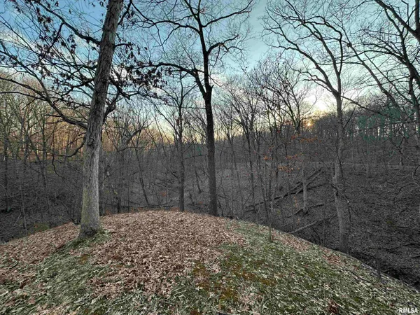 $285,000 | North Tarters Ferry Lane, Smithfield, IL 61477