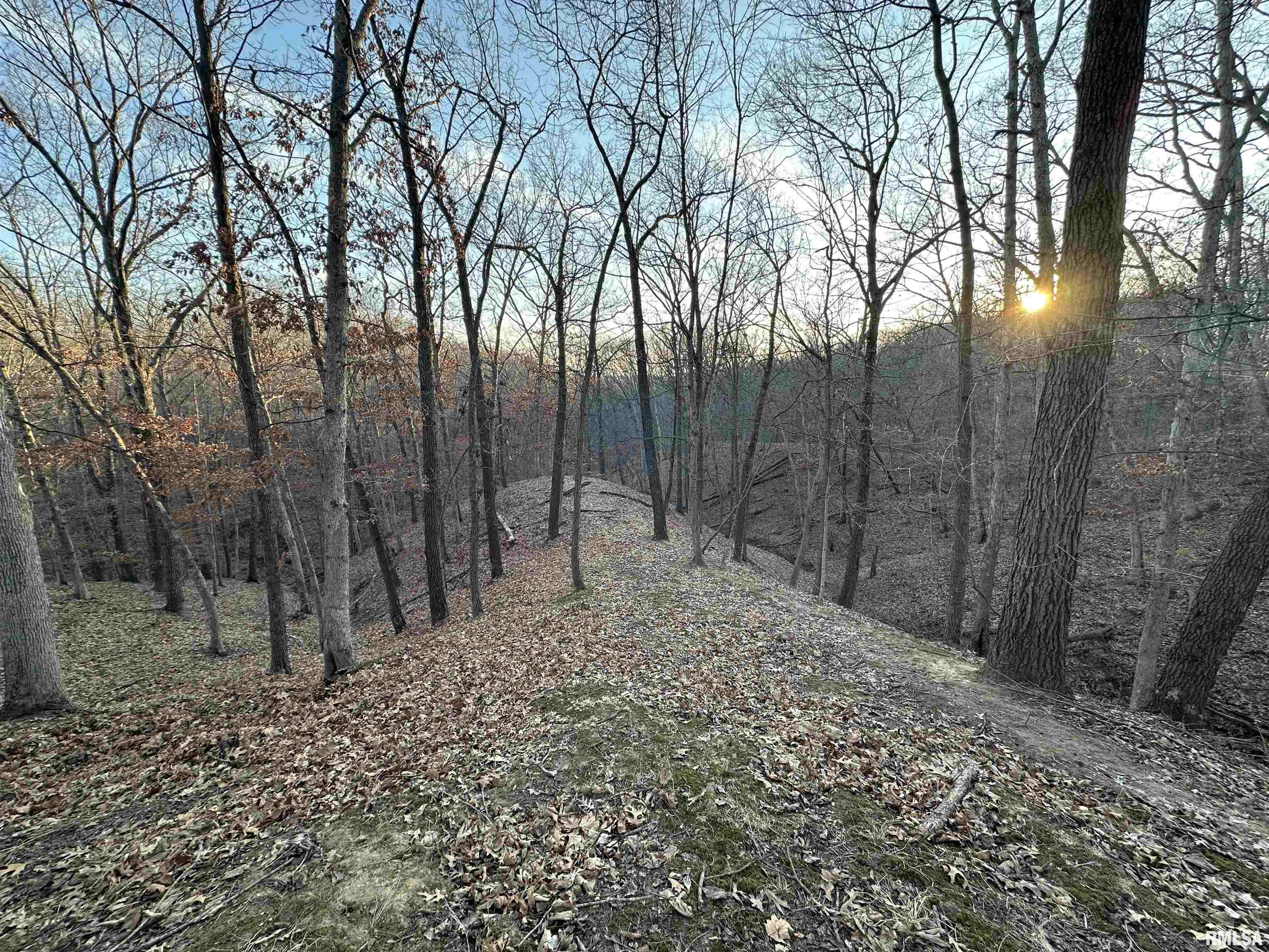 North Tarters Ferry Lane Smithfield, IL 61477 - Photo 19 of 38