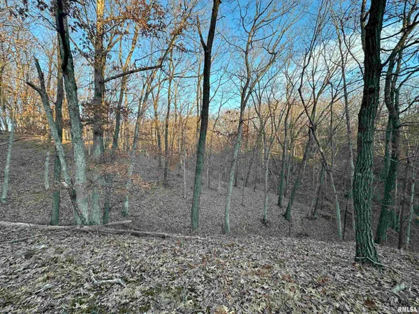 $285,000 | North Tarters Ferry Lane, Smithfield, IL 61477