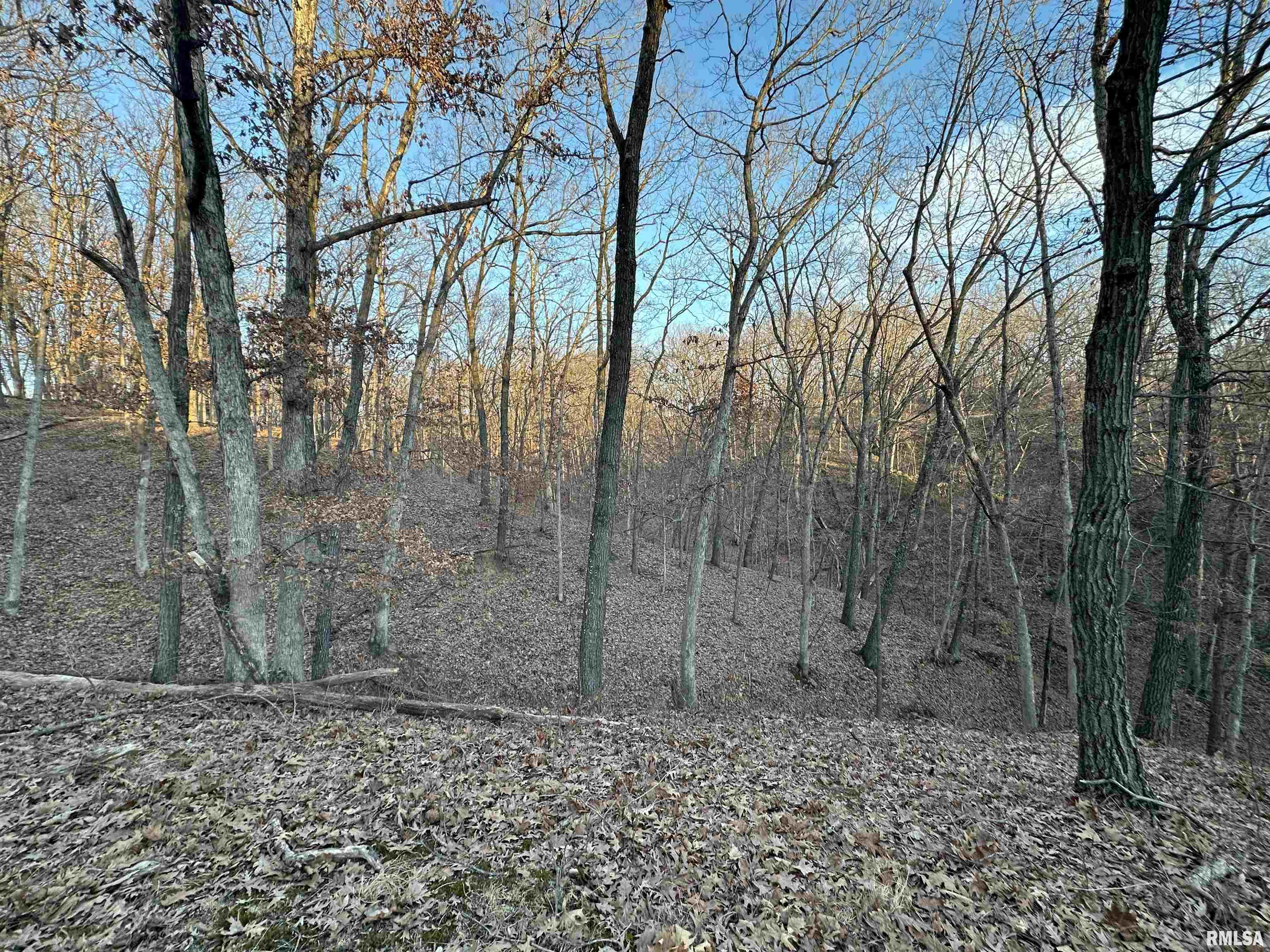 North Tarters Ferry Lane Smithfield, IL 61477 - Photo 20 of 38