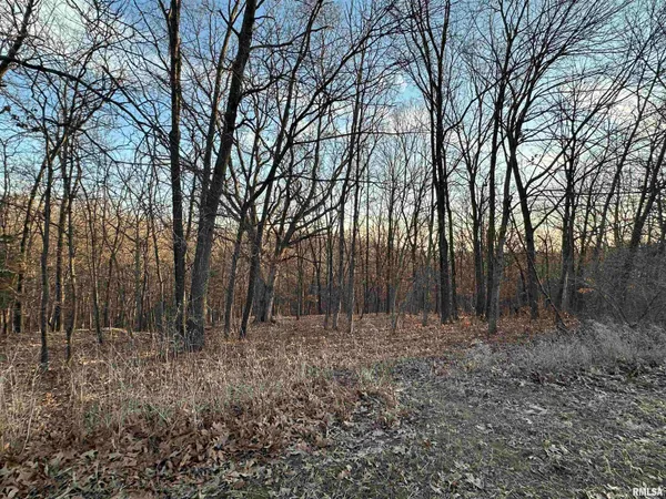 $285,000 | North Tarters Ferry Lane, Smithfield, IL 61477