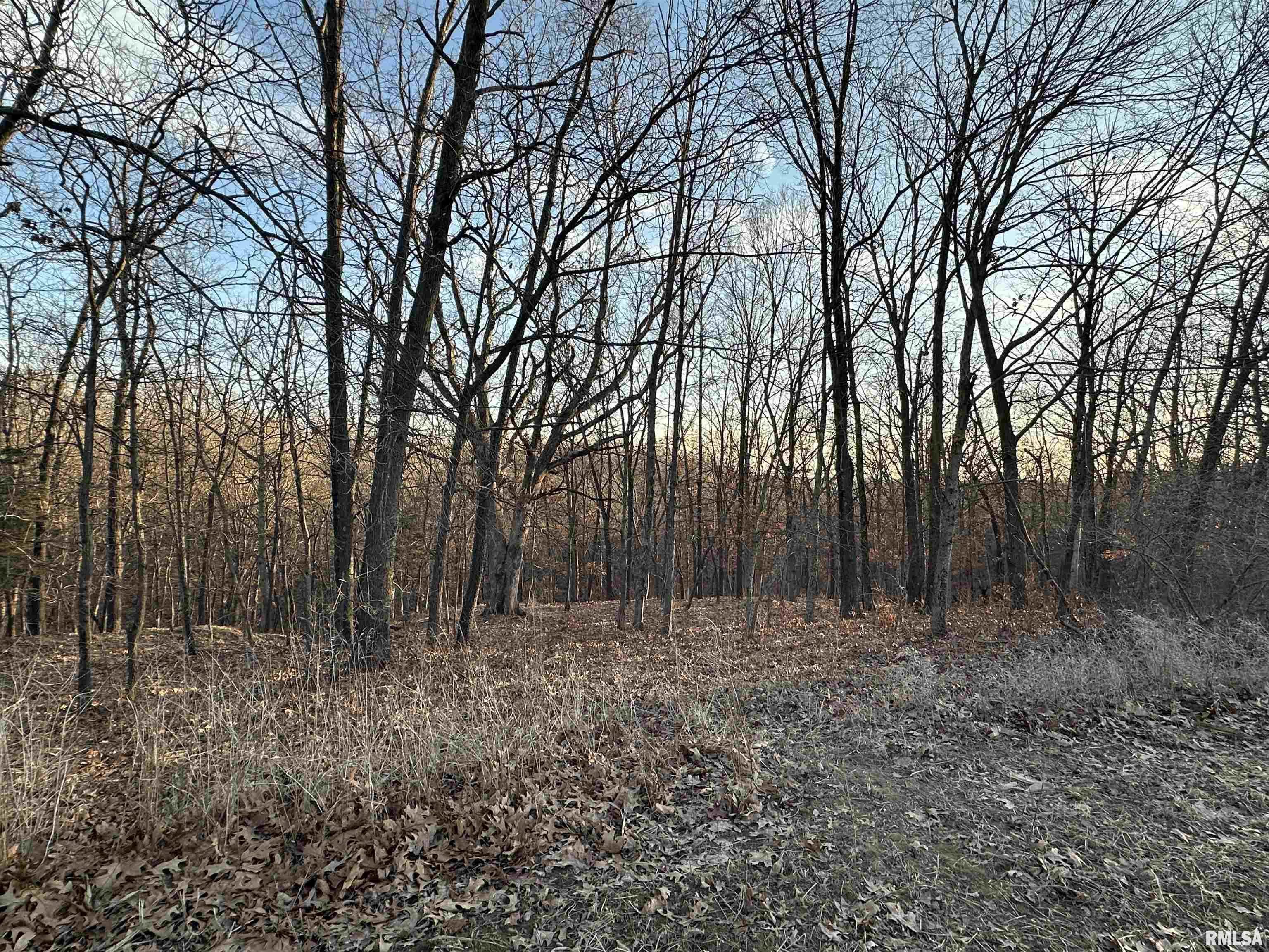 North Tarters Ferry Lane Smithfield, IL 61477 - Photo 21 of 38