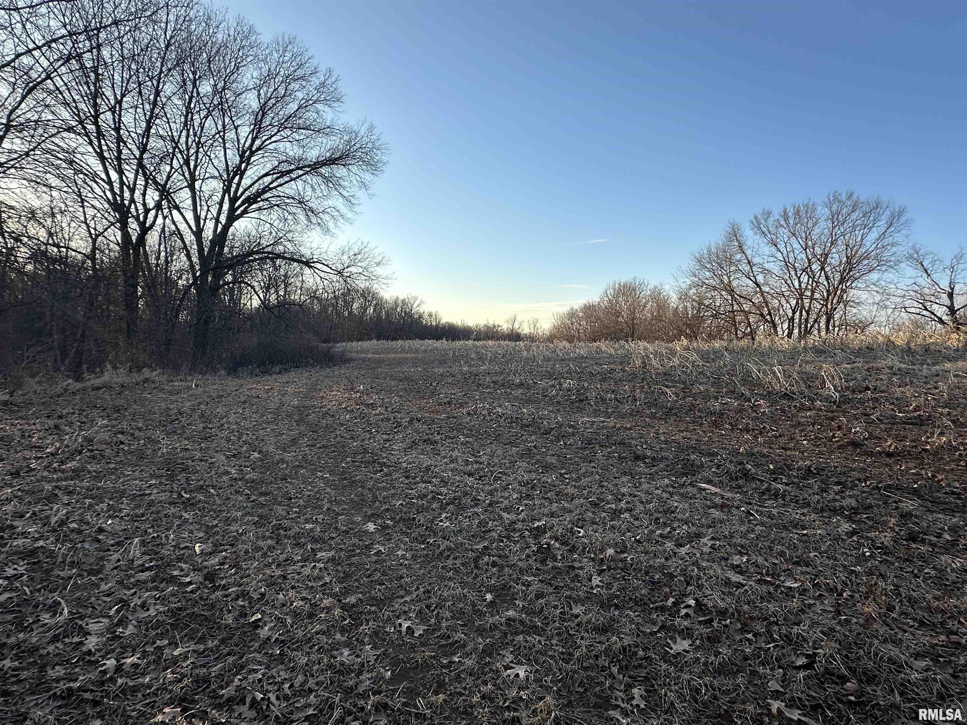 North Tarters Ferry Lane Smithfield, IL 61477 - Photo 22 of 38