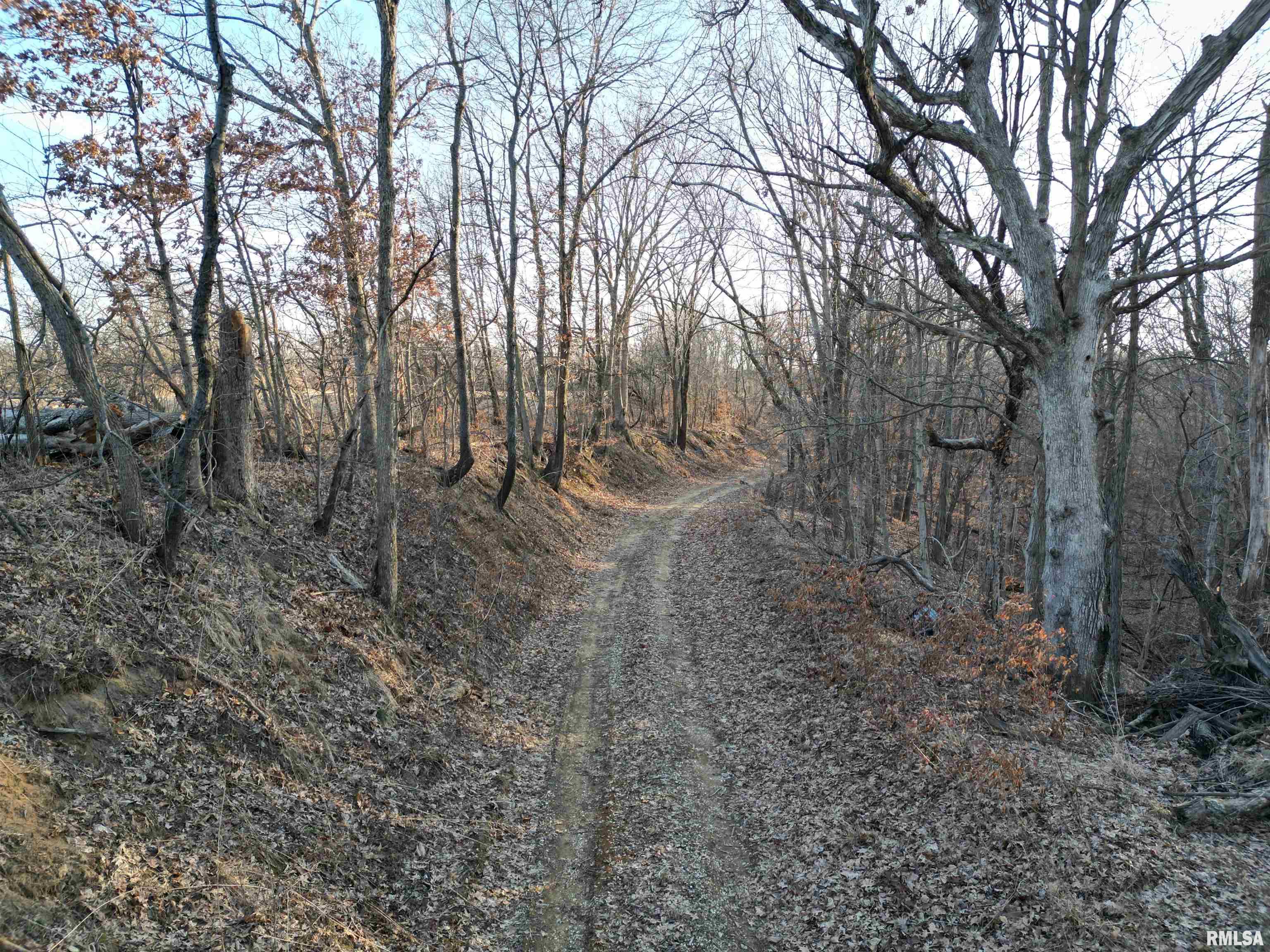 North Tarters Ferry Lane Smithfield, IL 61477 - Photo 23 of 38