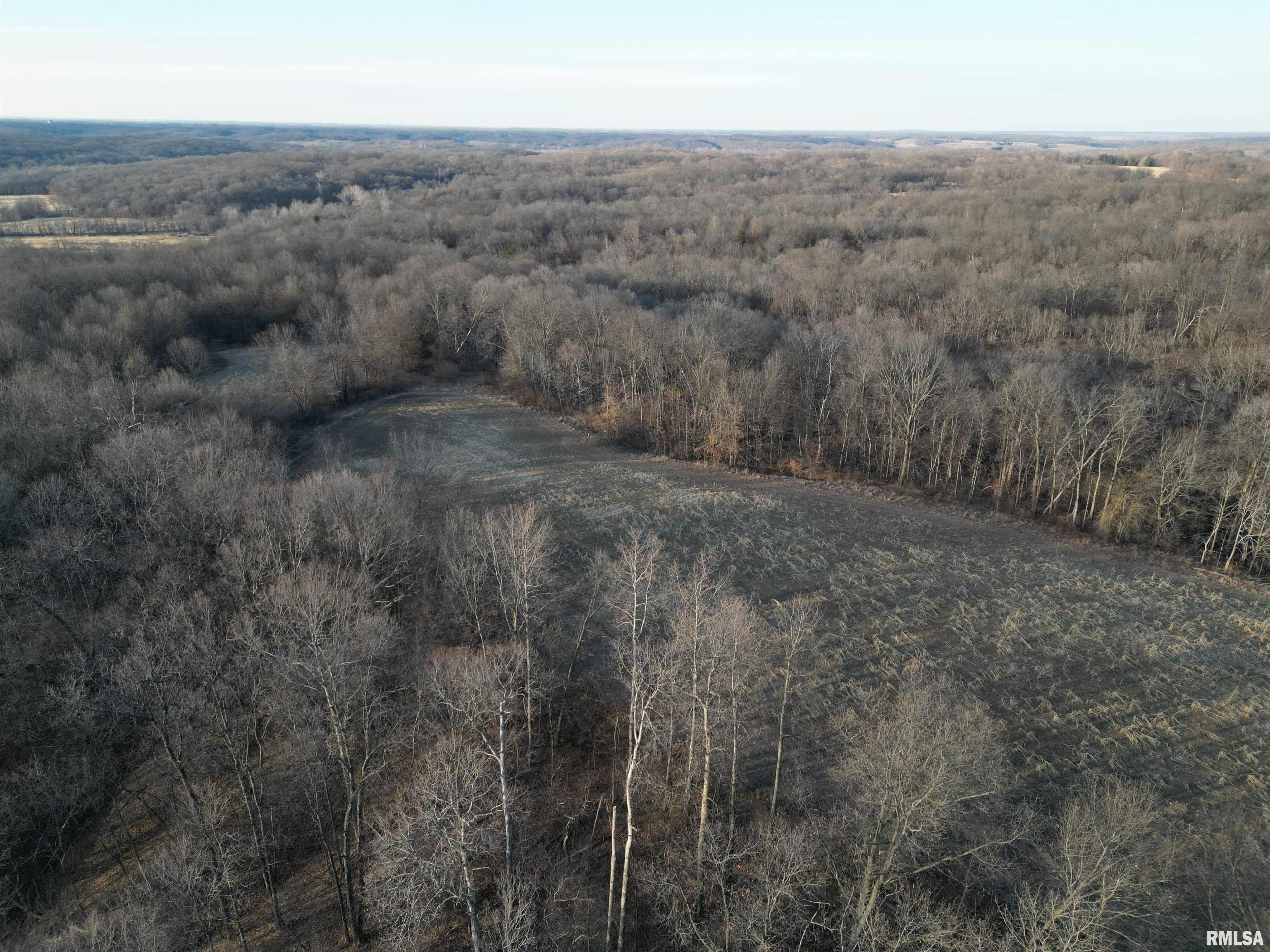 North Tarters Ferry Lane Smithfield, IL 61477 - Photo 25 of 38