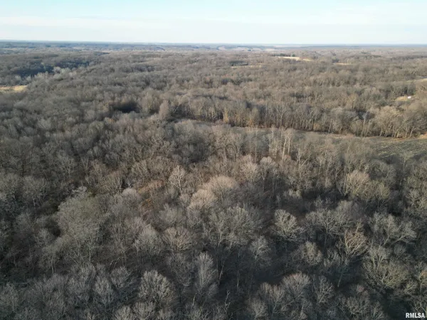 $285,000 | North Tarters Ferry Lane, Smithfield, IL 61477