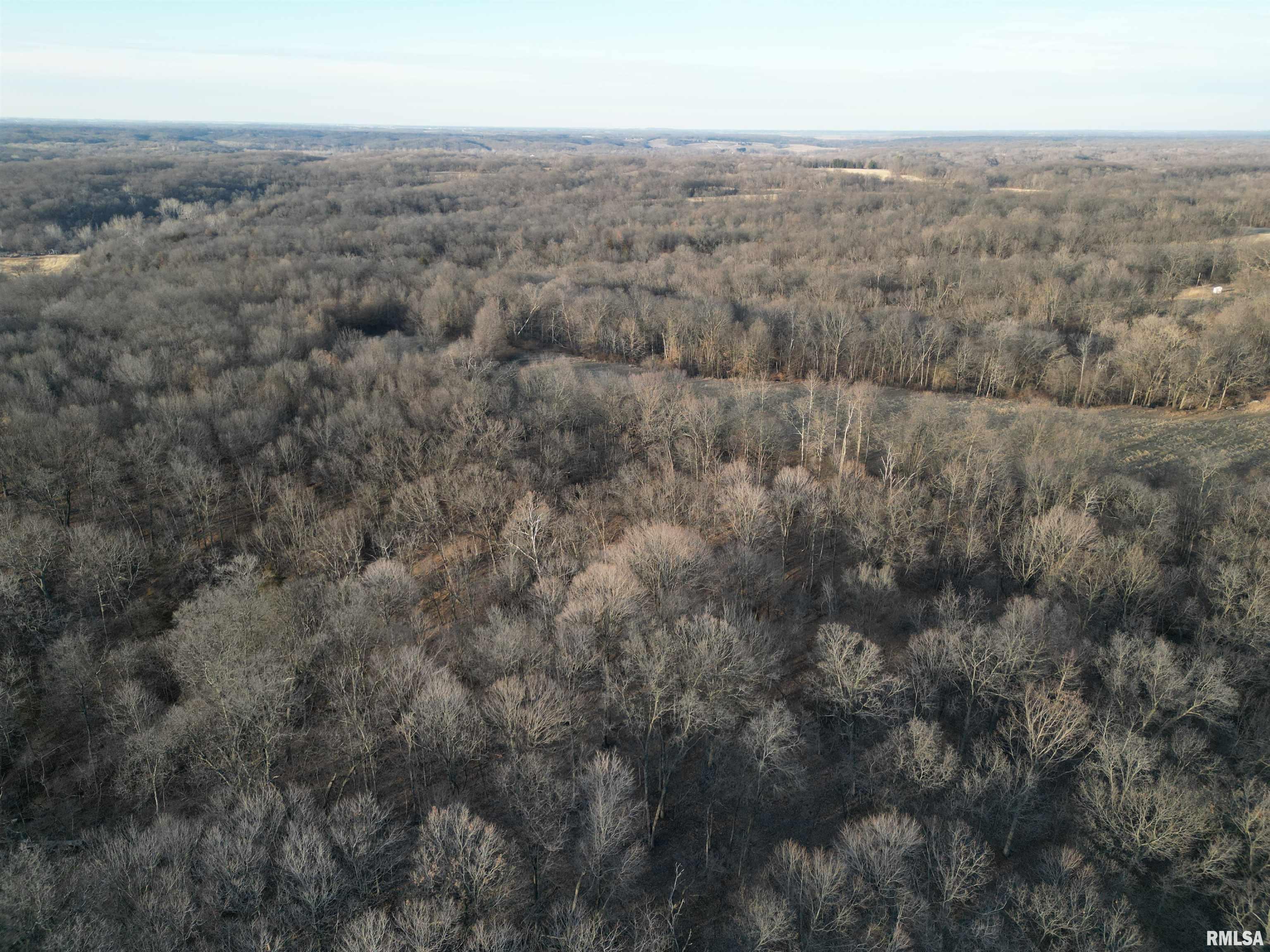 North Tarters Ferry Lane Smithfield, IL 61477 - Photo 26 of 38