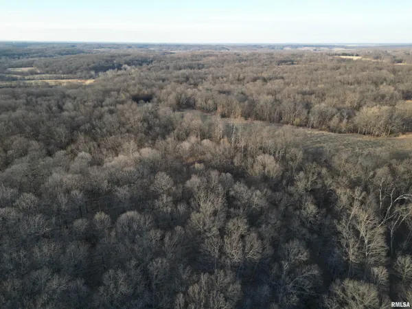 $285,000 | North Tarters Ferry Lane, Smithfield, IL 61477
