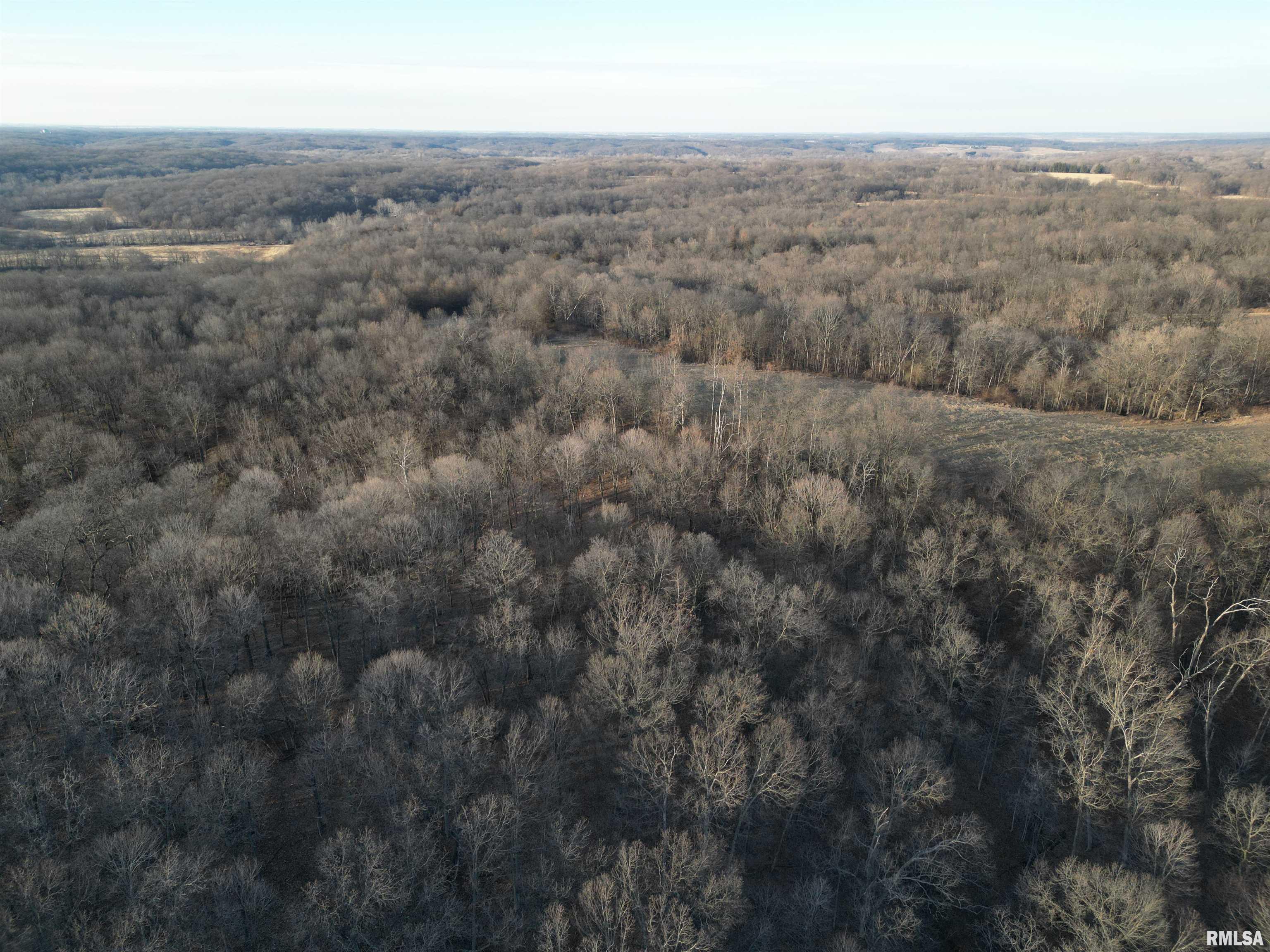 North Tarters Ferry Lane Smithfield, IL 61477 - Photo 27 of 38