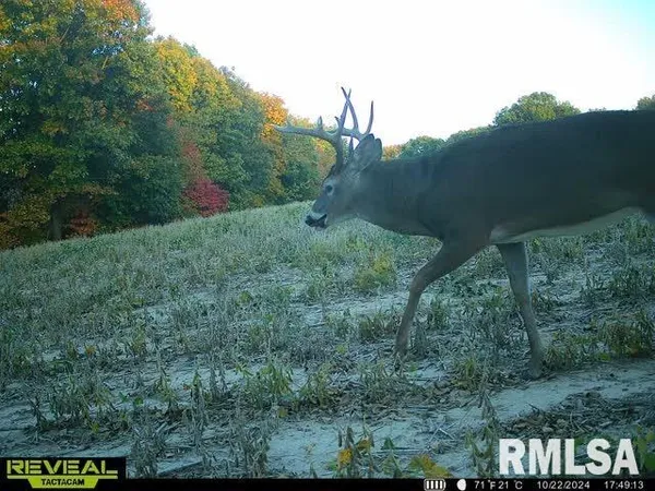 $285,000 | North Tarters Ferry Lane, Smithfield, IL 61477