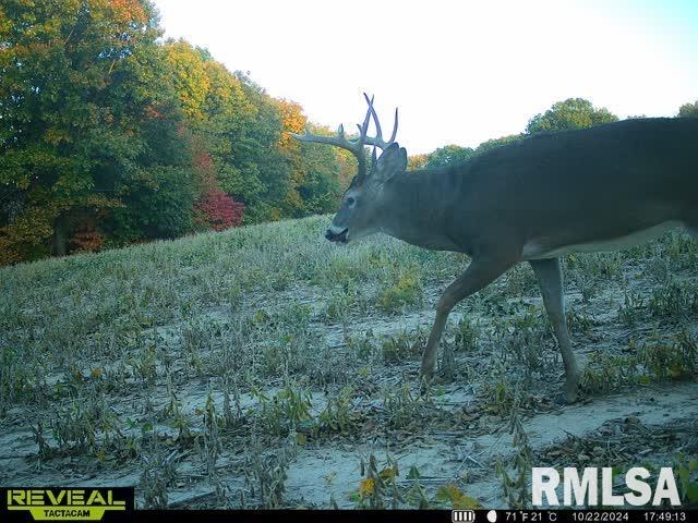 North Tarters Ferry Lane Smithfield, IL 61477 - Photo 29 of 38