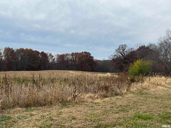 $285,000 | North Tarters Ferry Lane, Smithfield, IL 61477