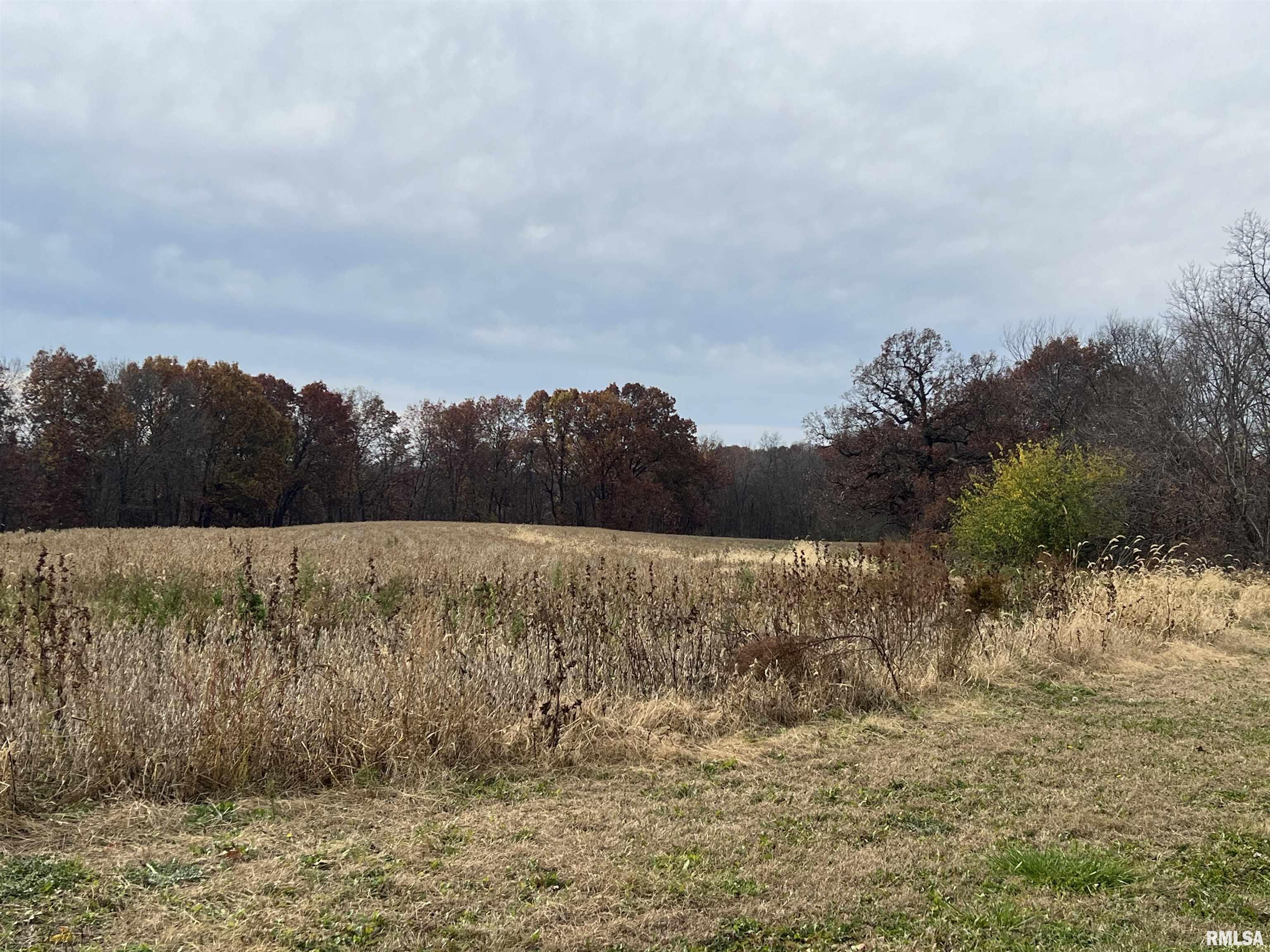 North Tarters Ferry Lane Smithfield, IL 61477 - Photo 3 of 38