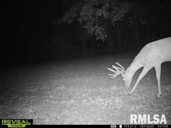 $285,000 | North Tarters Ferry Lane, Smithfield, IL 61477