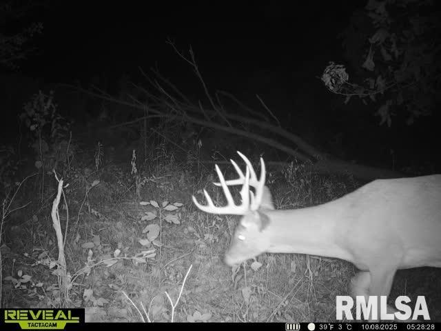 North Tarters Ferry Lane Smithfield, IL 61477 - Photo 32 of 38