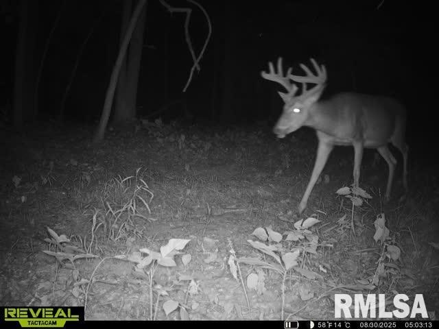 North Tarters Ferry Lane Smithfield, IL 61477 - Photo 34 of 38