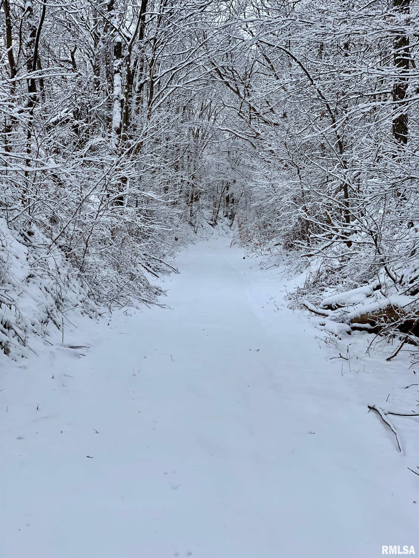 North Tarters Ferry Lane Smithfield, IL 61477 - Photo 4 of 38