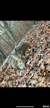 $285,000 | North Tarters Ferry Lane, Smithfield, IL 61477