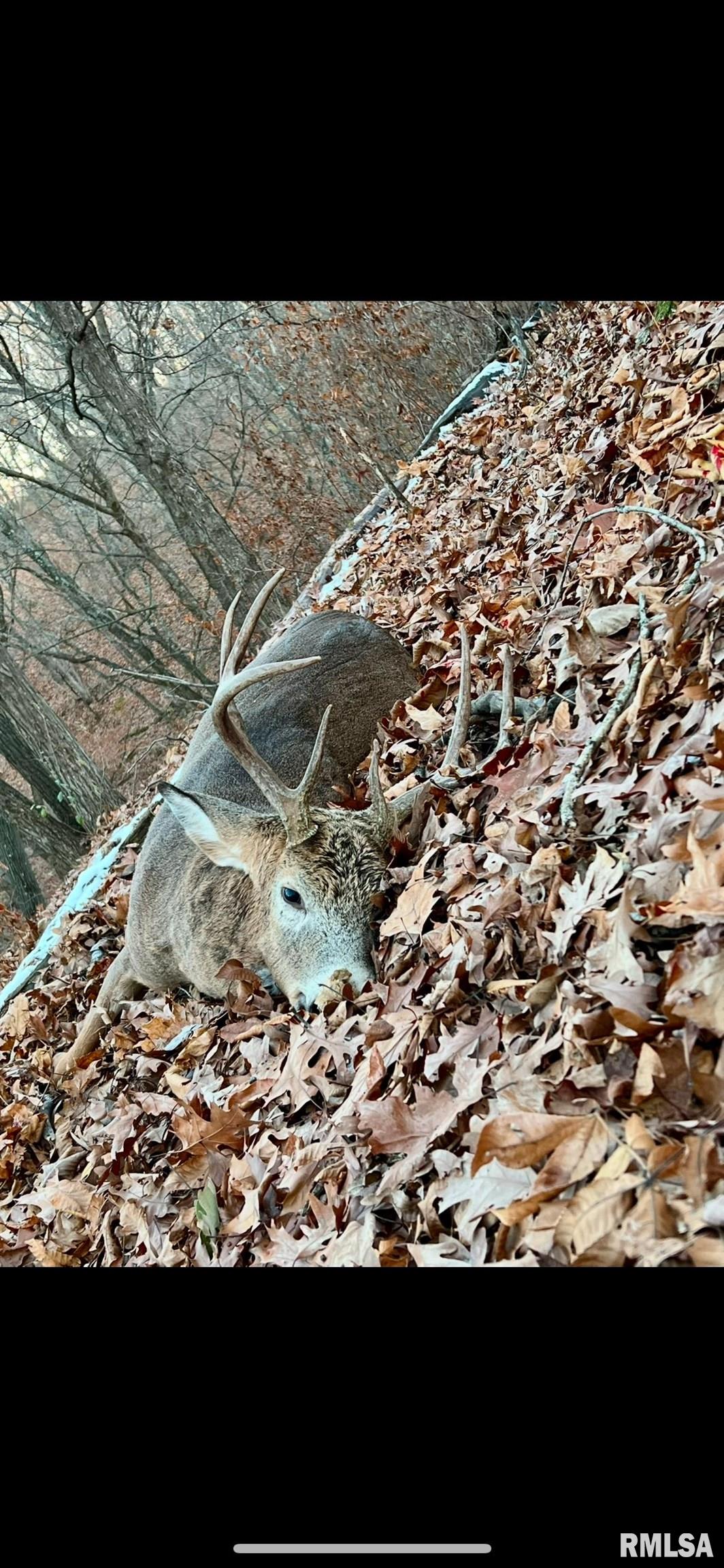 North Tarters Ferry Lane Smithfield, IL 61477 - Photo 5 of 38
