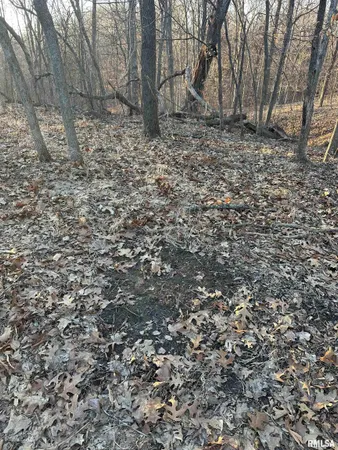 $285,000 | North Tarters Ferry Lane, Smithfield, IL 61477