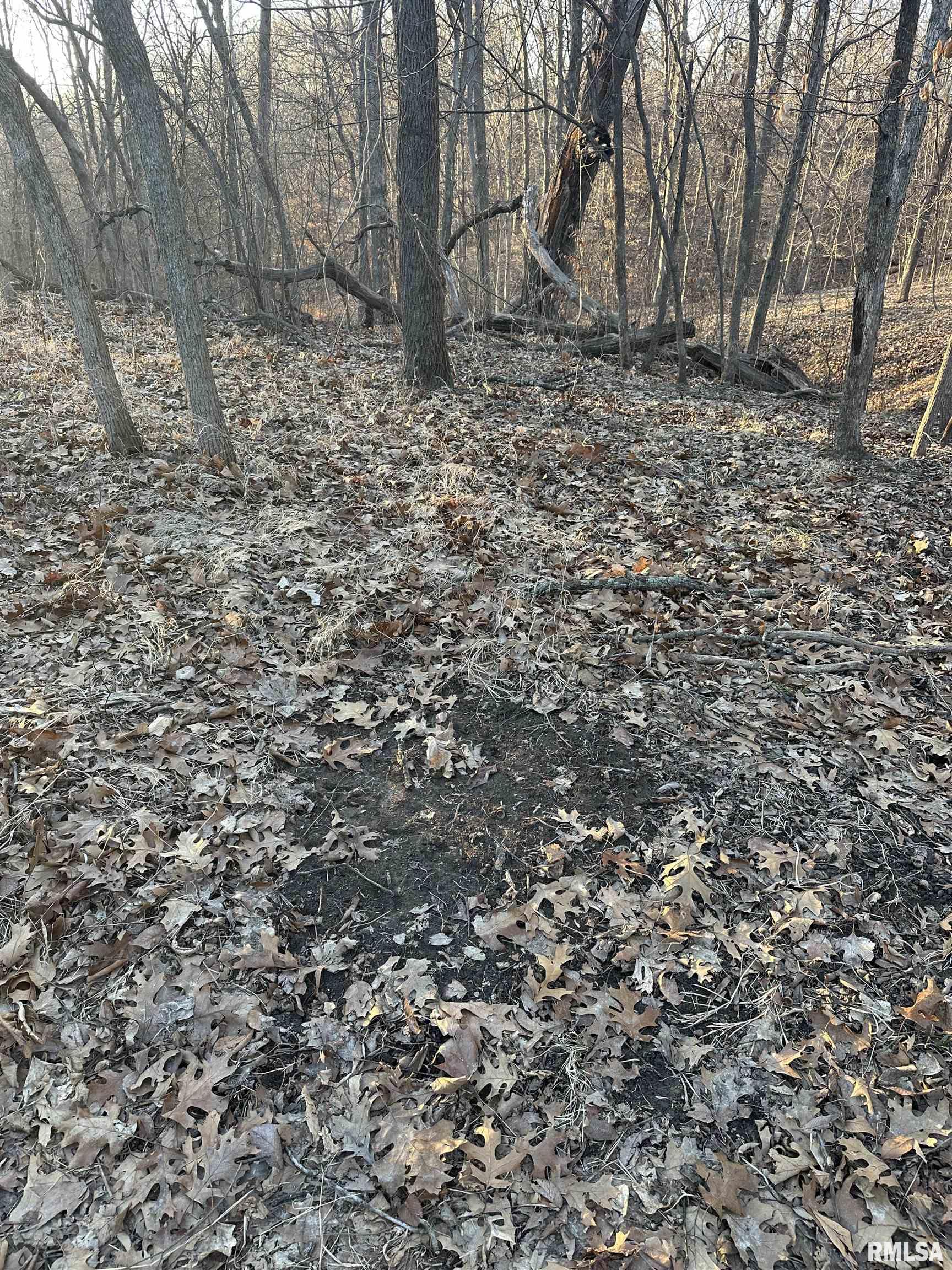 North Tarters Ferry Lane Smithfield, IL 61477 - Photo 6 of 38