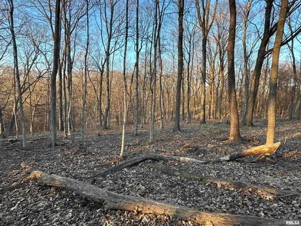 $285,000 | North Tarters Ferry Lane, Smithfield, IL 61477