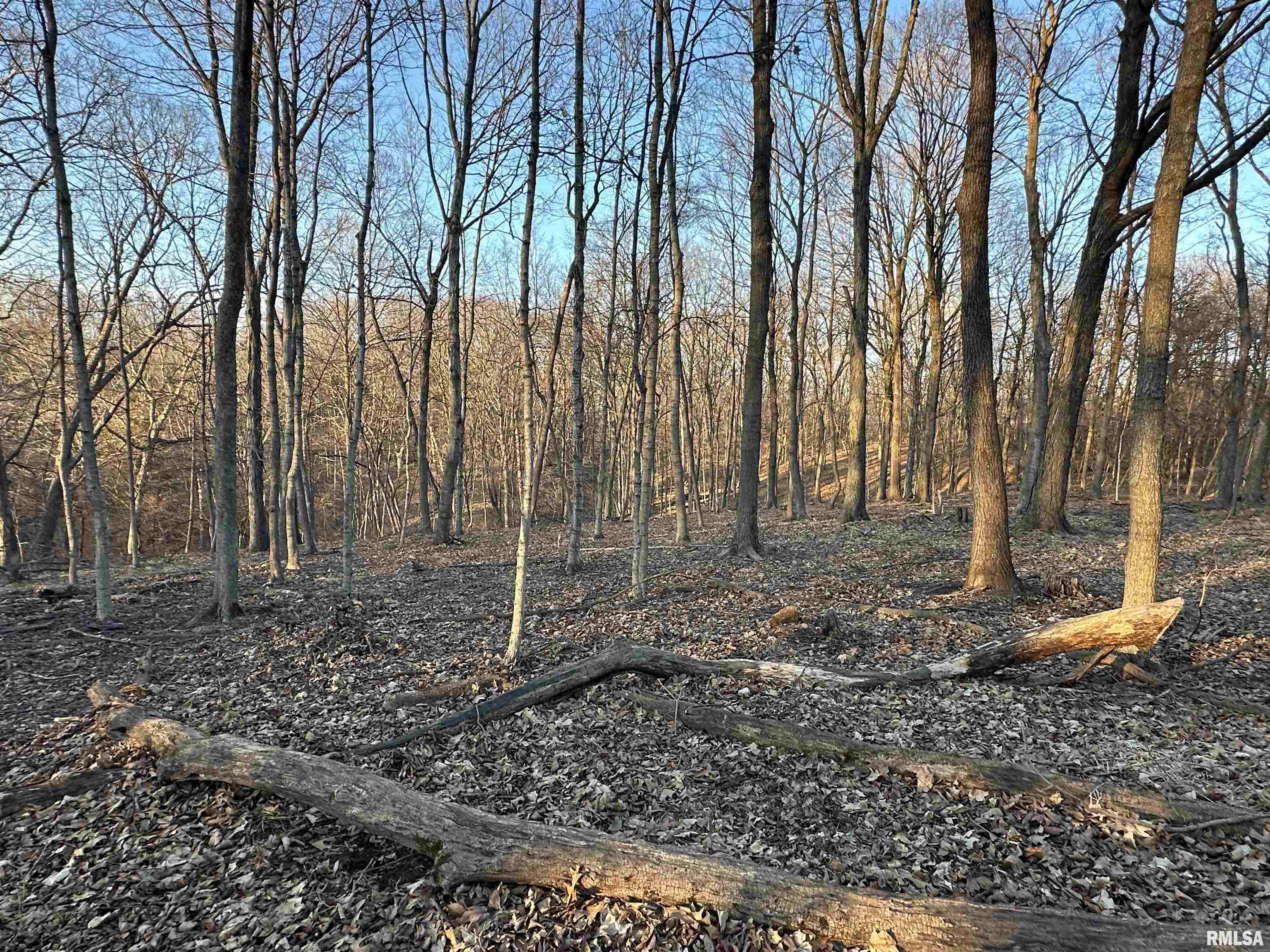 North Tarters Ferry Lane Smithfield, IL 61477 - Photo 7 of 38