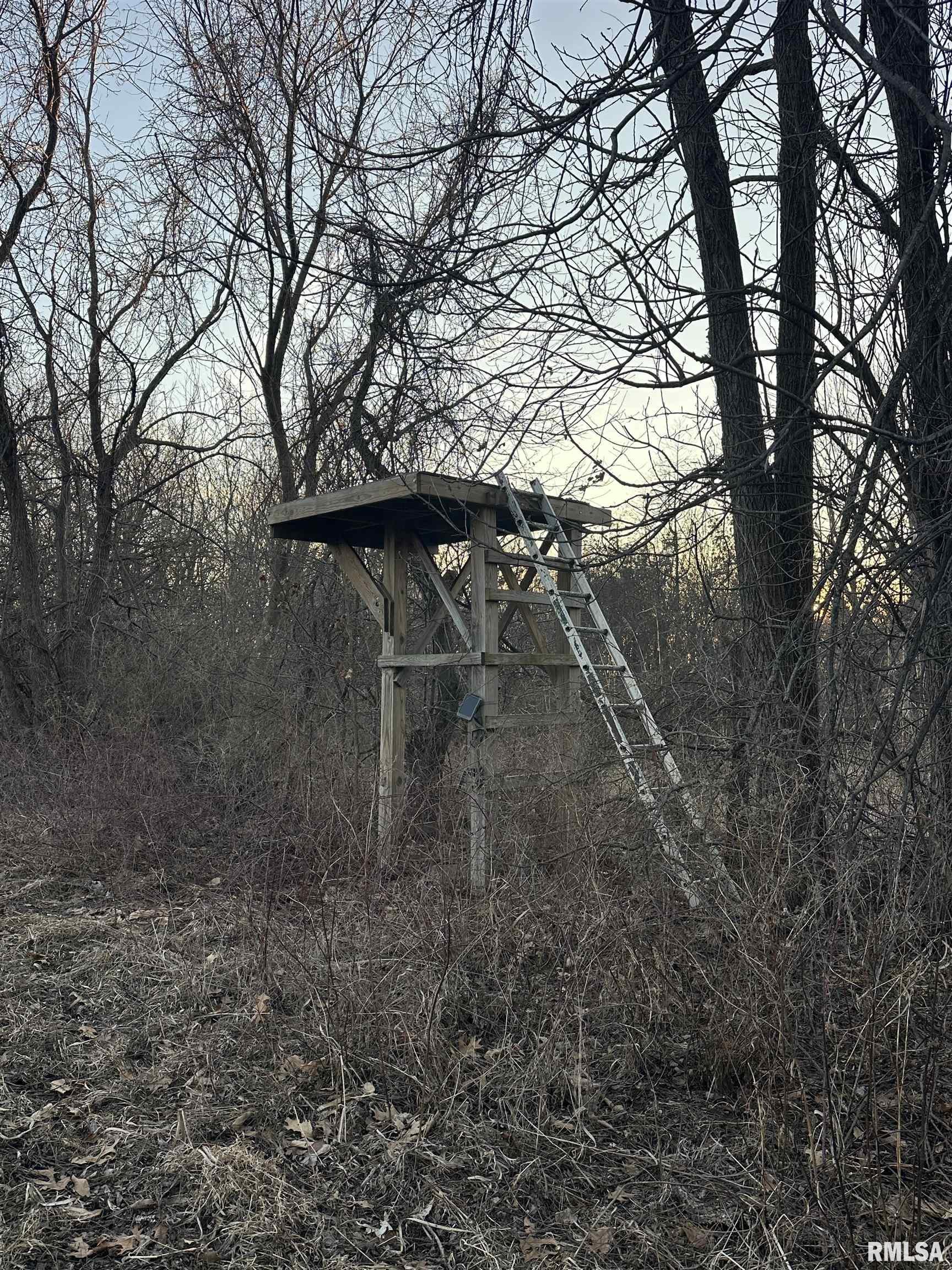 North Tarters Ferry Lane Smithfield, IL 61477 - Photo 8 of 38