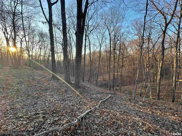 $285,000 | North Tarters Ferry Lane, Smithfield, IL 61477