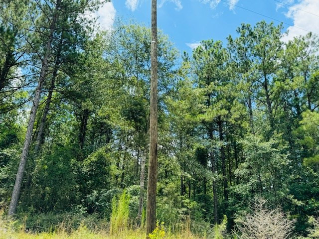 42 Bill Dier Road Tylertown, MS 39667 - Photo 19 of 20 Photo 19