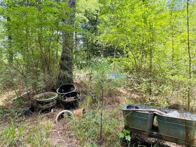 42 Bill Dier Road Tylertown, MS 39667 - Photo 10 of 20 Photo 10