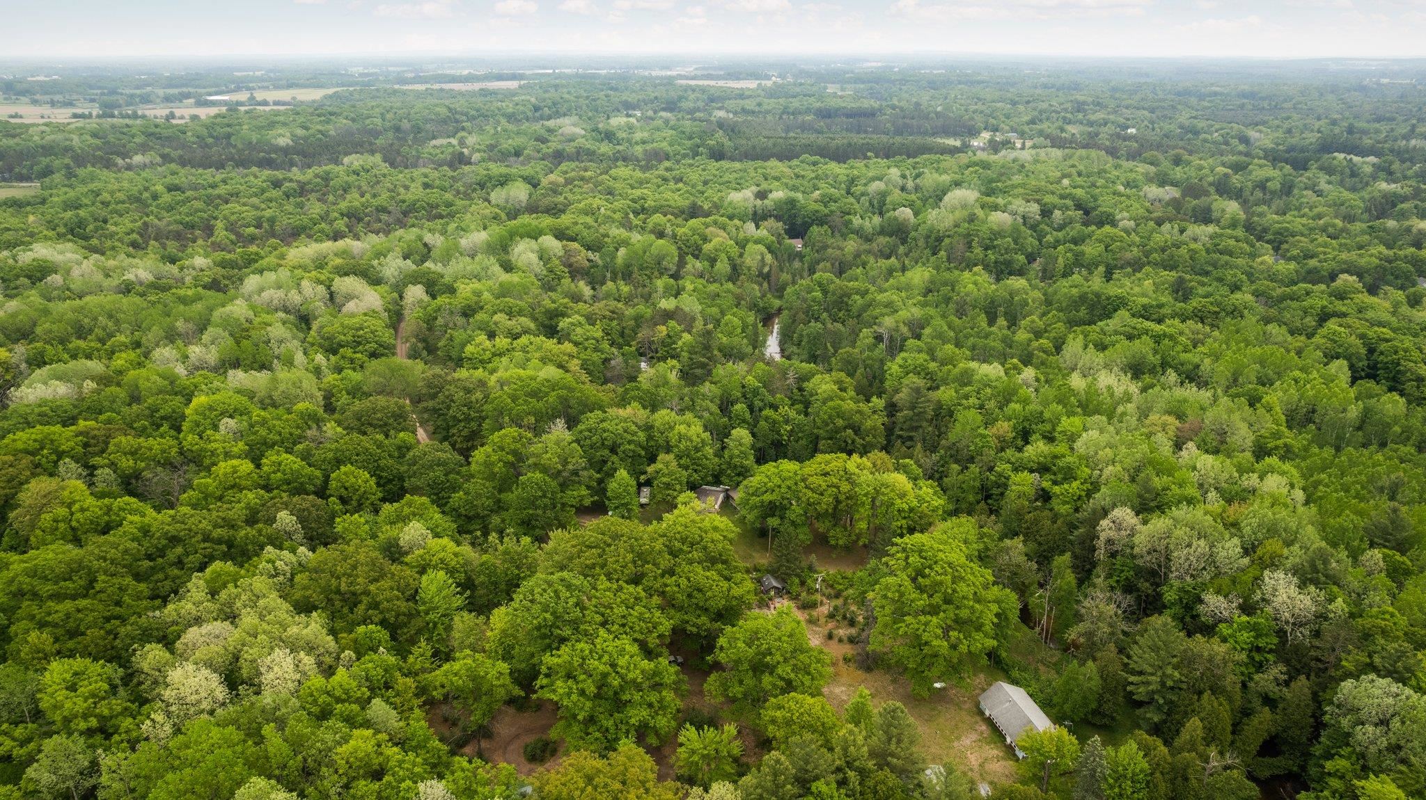 8415 West Workman Road Lake City, MI 49651 - Photo 81 of 83
