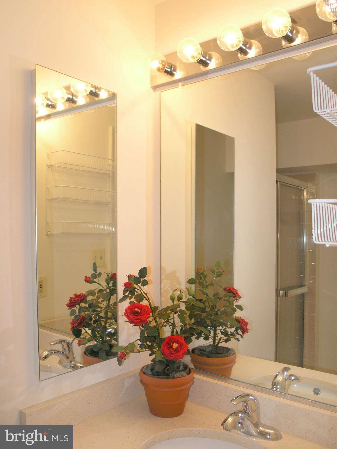 11294 Fairwind Way Reston, VA 20190 - Photo 29 of 30 a bathroom with a sink mirror and vanity
