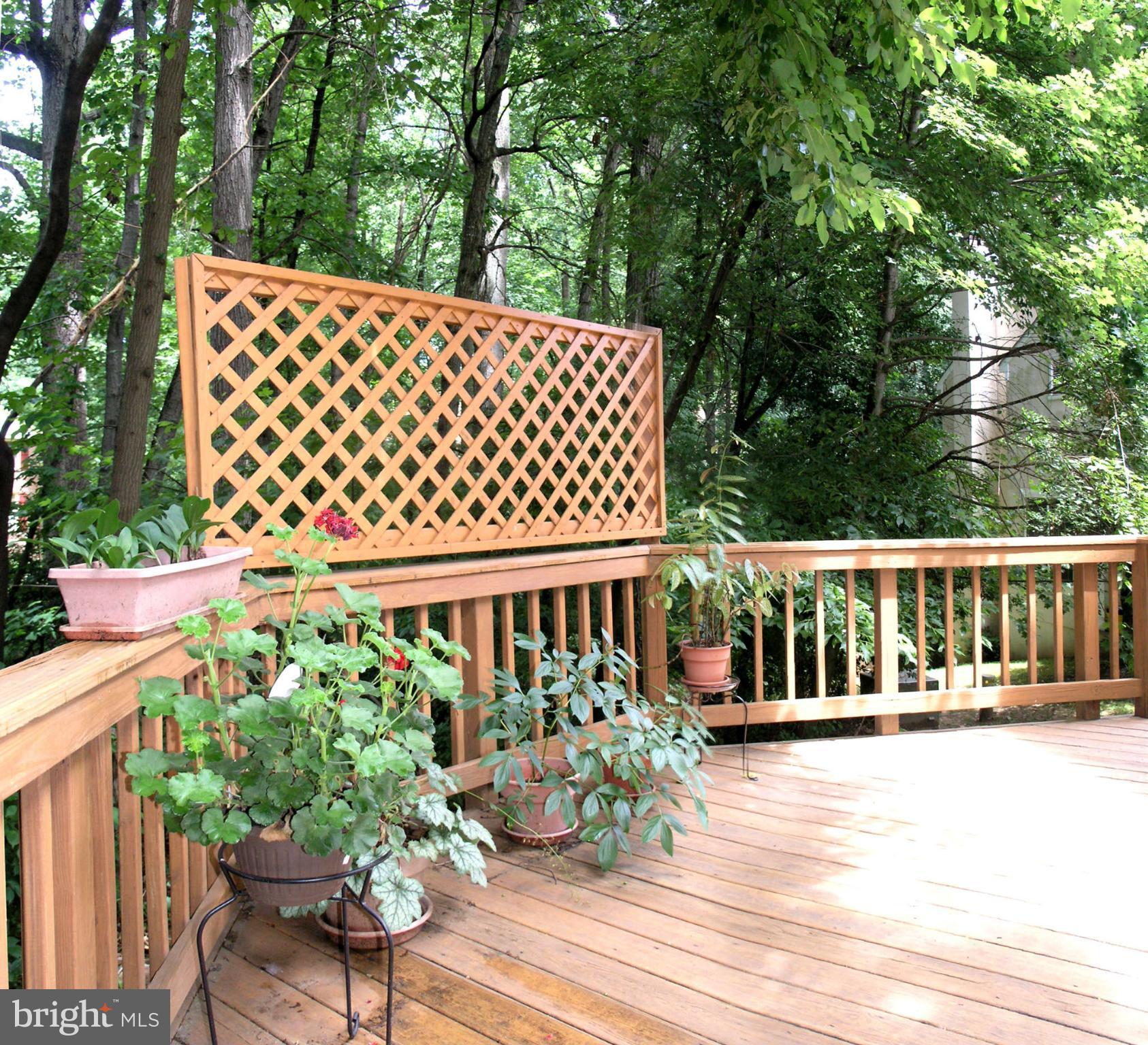 11294 Fairwind Way Reston, VA 20190 - Photo 5 of 30 a view of a wooden deck with a bench