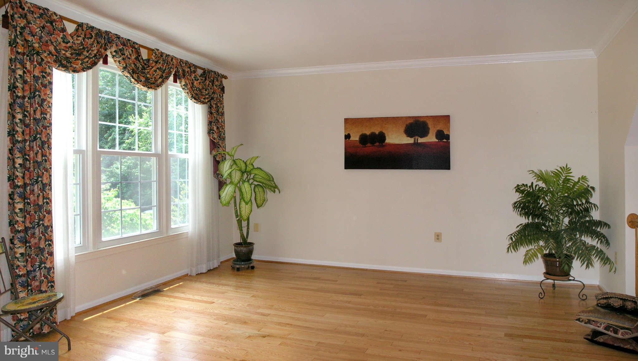 11294 Fairwind Way Reston, VA 20190 - Photo 8 of 30 a view of a livingroom with a potted plant and a window