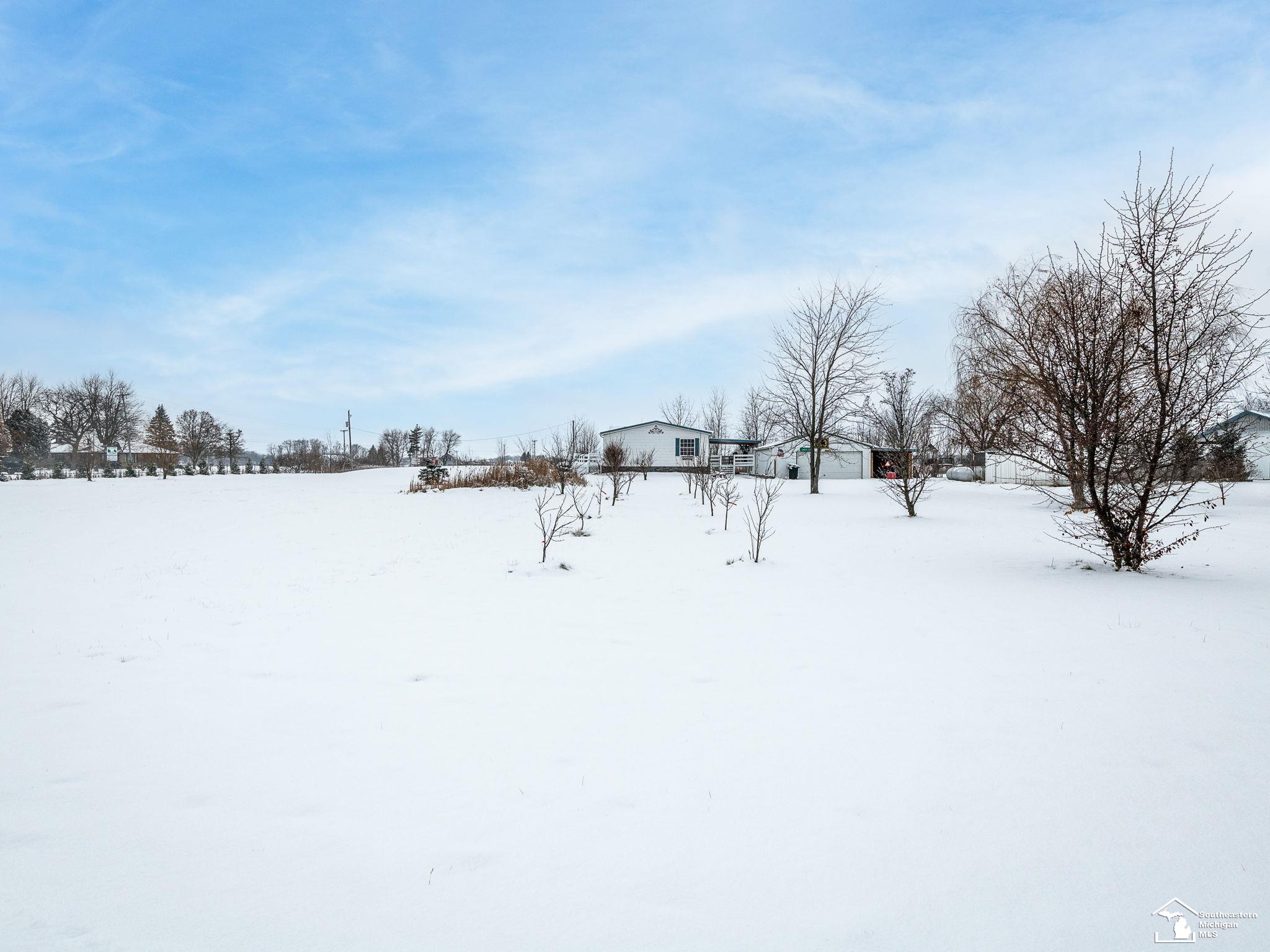 10101 Tabbert Road Riga, MI 49276 - Photo 40 of 51