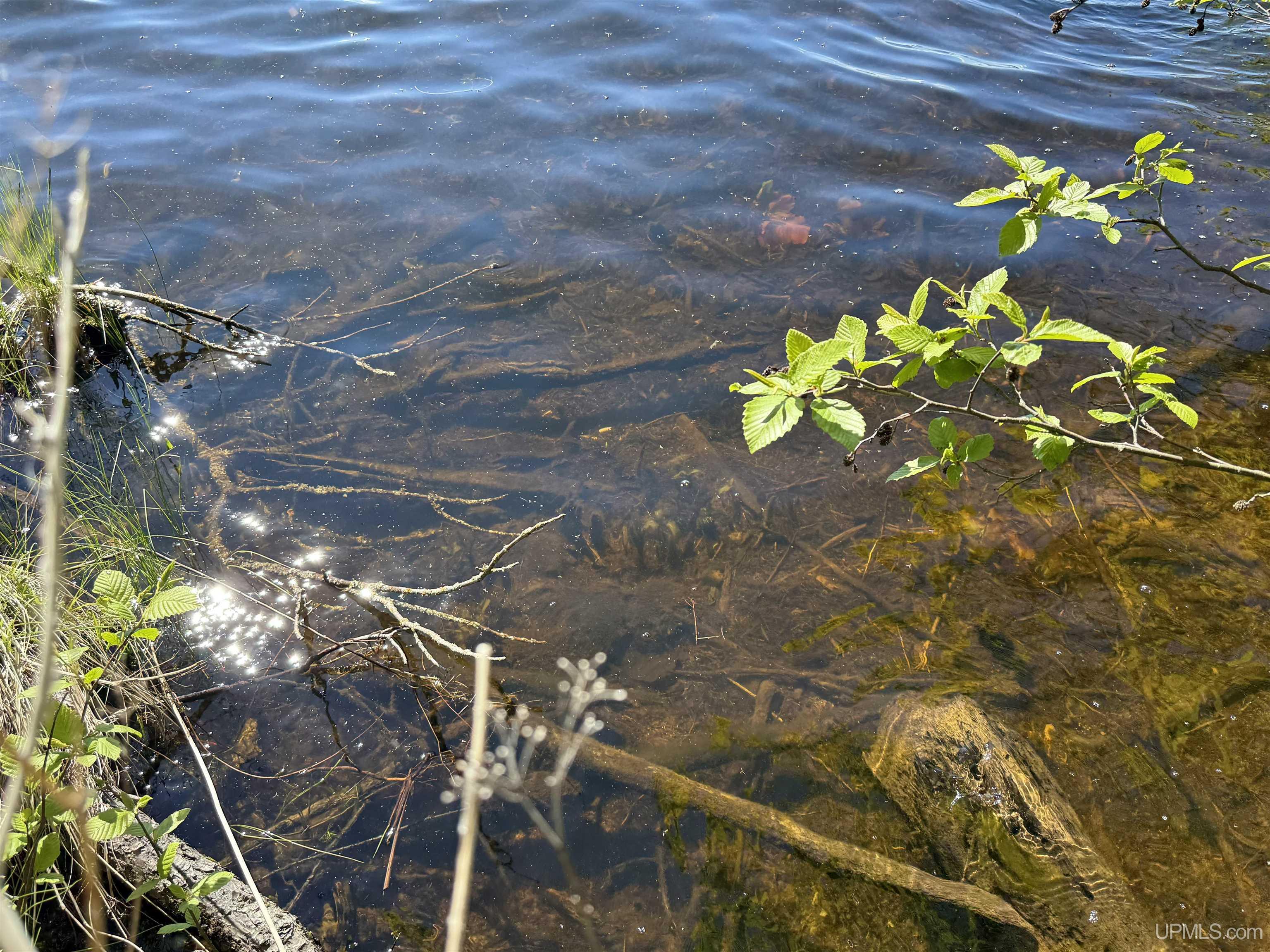 Langford Lake Road Watersmeet, MI 49969 - Photo 10 of 23