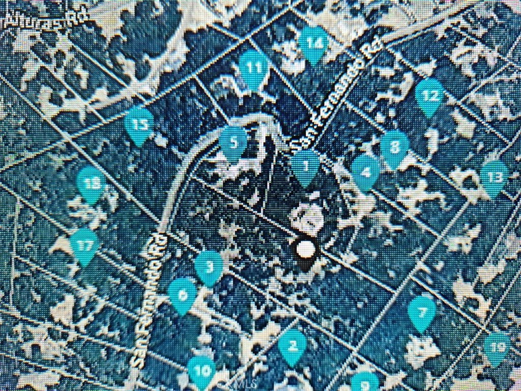 2155 San Fernando Road Atascadero, CA 93422 - Photo 3 of 3 a picture of tree