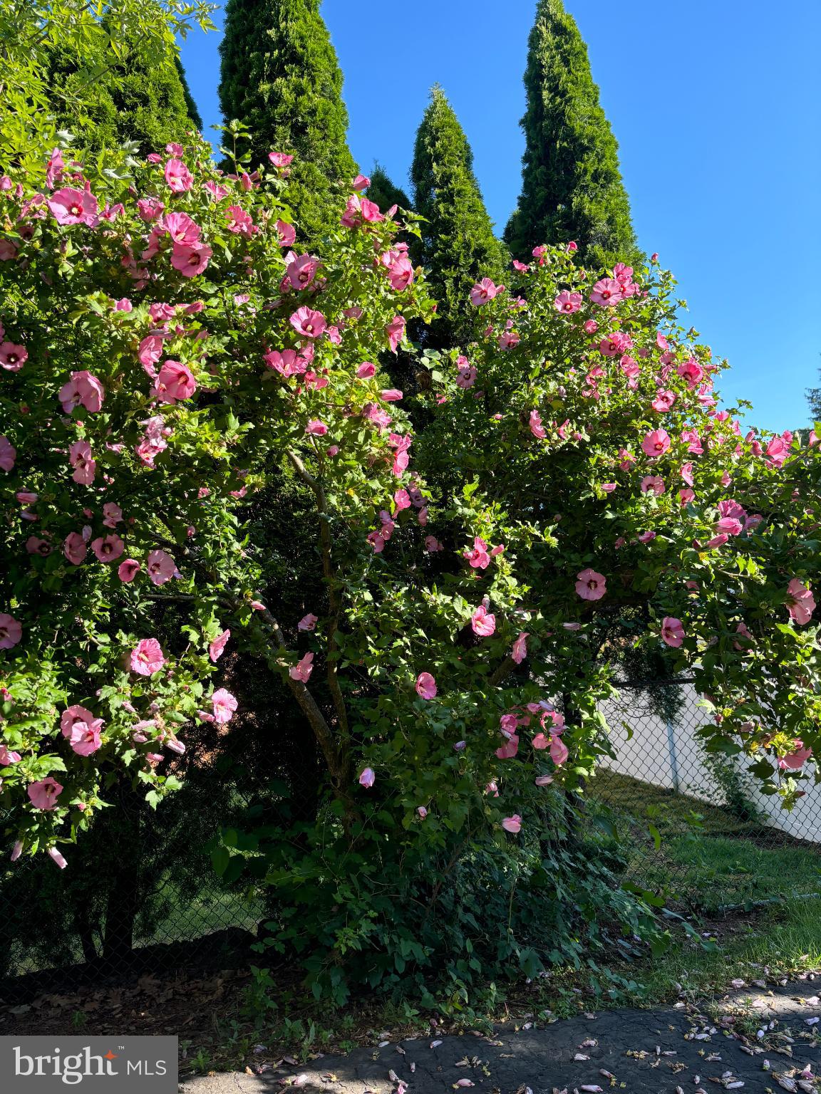 725 Springdell Road King of Prussia, PA 19406 - Photo 27 of 29