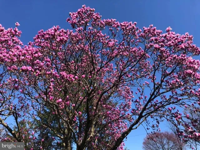 $599,900 | 725 Springdell Road, King of Prussia, PA 19406