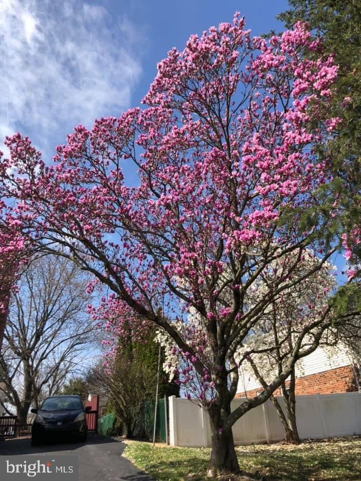 725 Springdell Road King of Prussia, PA 19406 - Photo 29 of 29 a front view of a house with a tree