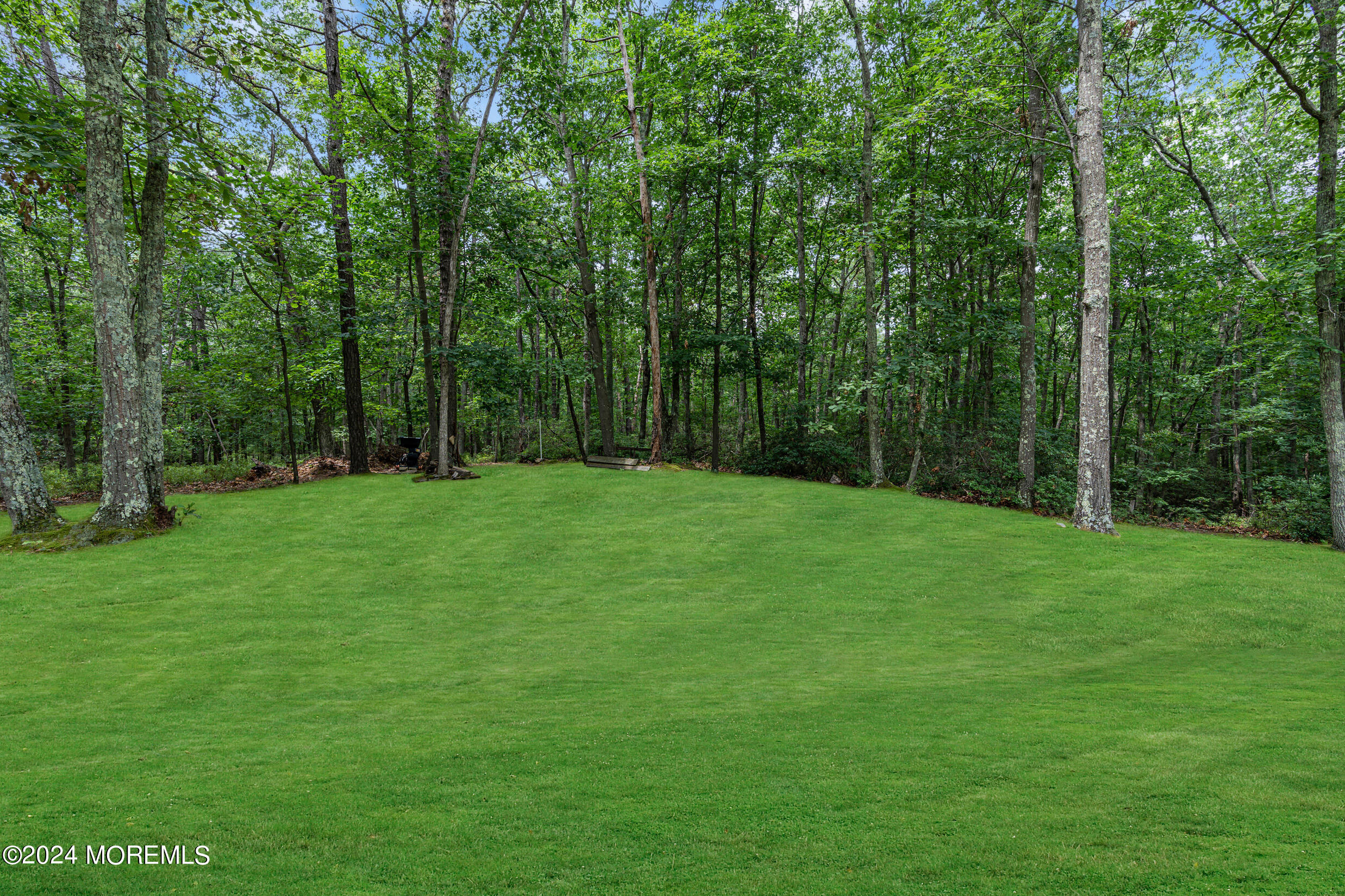 166 Willow Drive Jackson, NJ 08527 - Photo 33 of 38 10 (6)