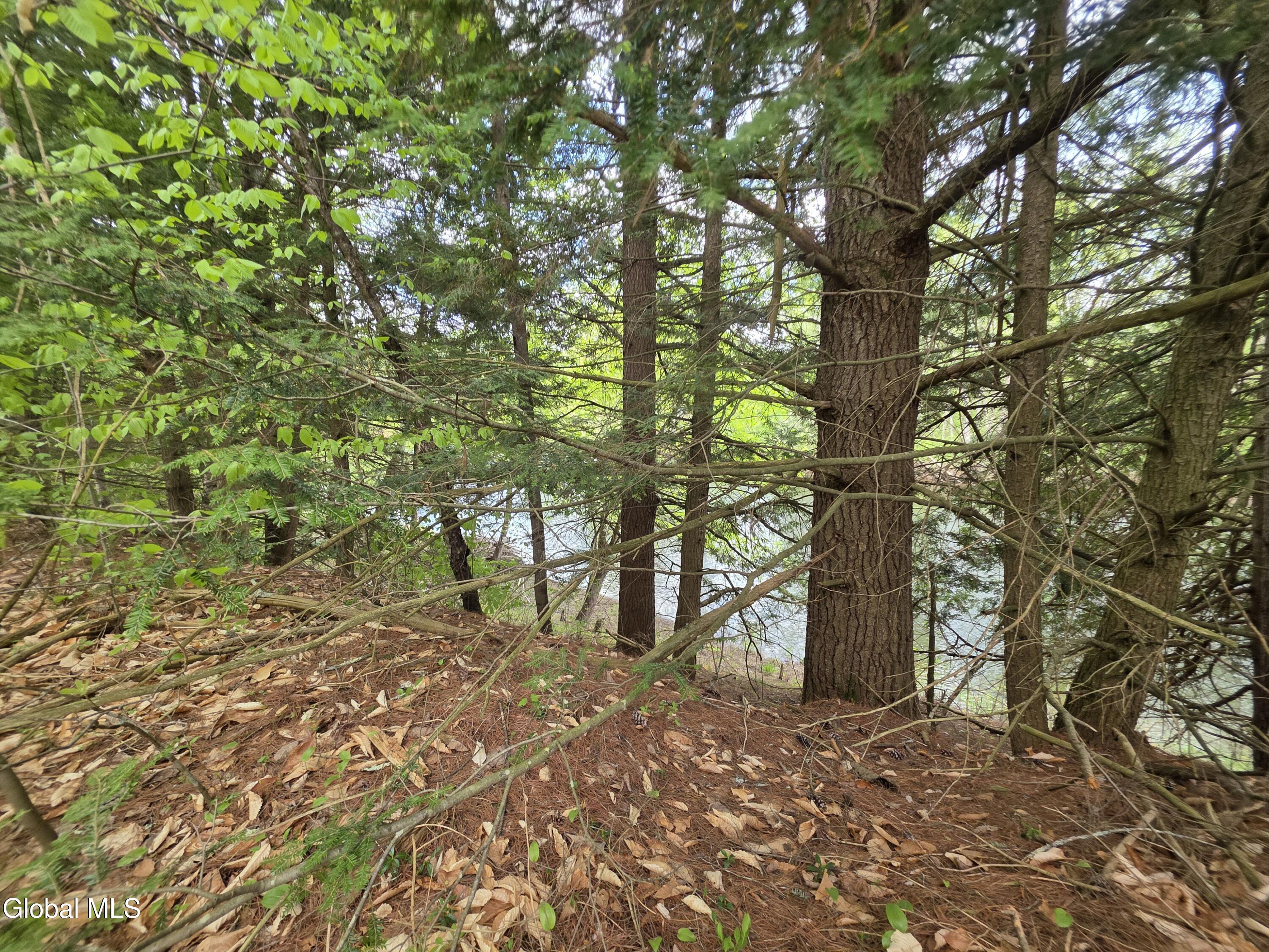 L32 Schroon River Road Warrensburg, NY 12885 - Photo 17 of 18 Steep frontage to the river